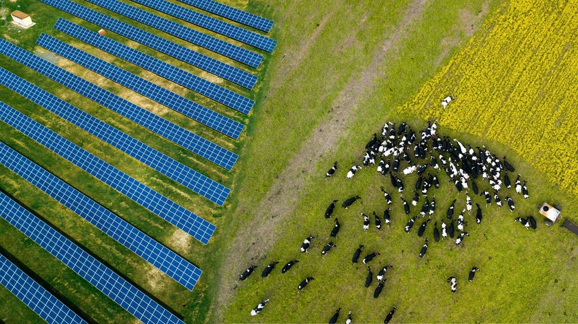 Solar installation dairy farms in Australia
